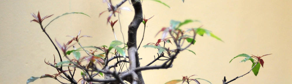 Marabout pour faire revenir son ex magie blanche et rituel pour récupérer mon ex sortilège d'amour puissant